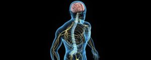 San Antonio Neuro Monitoring